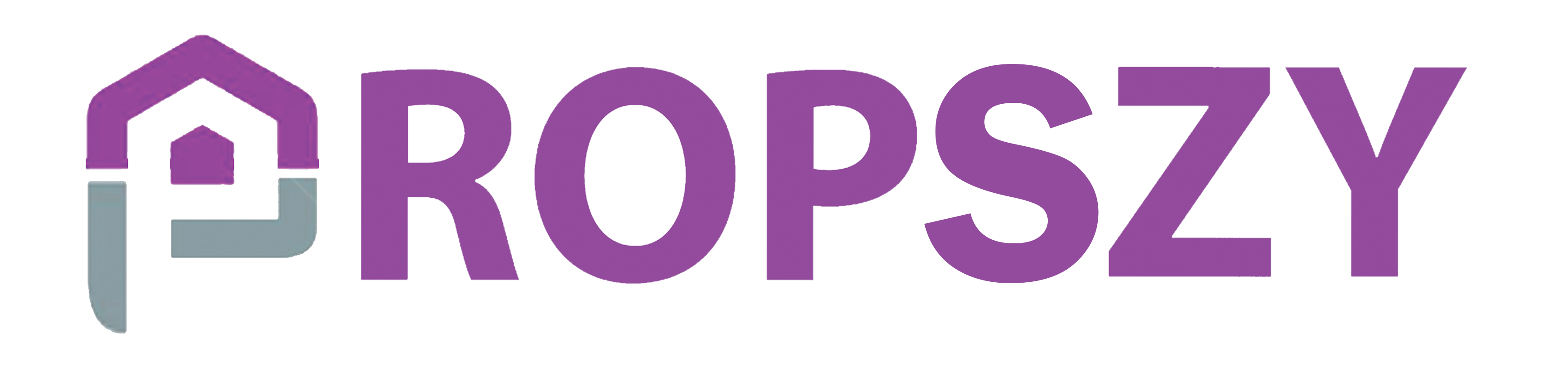 Propszy Infotech